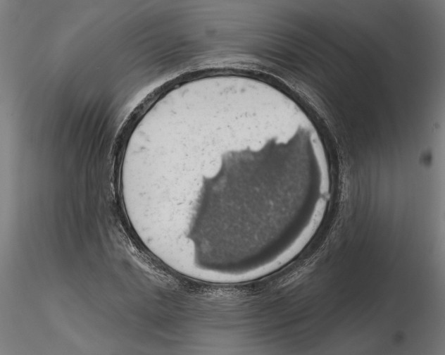 X0000116490830201001061139