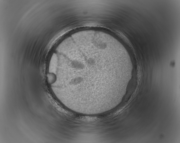 X0000116490831201001061139