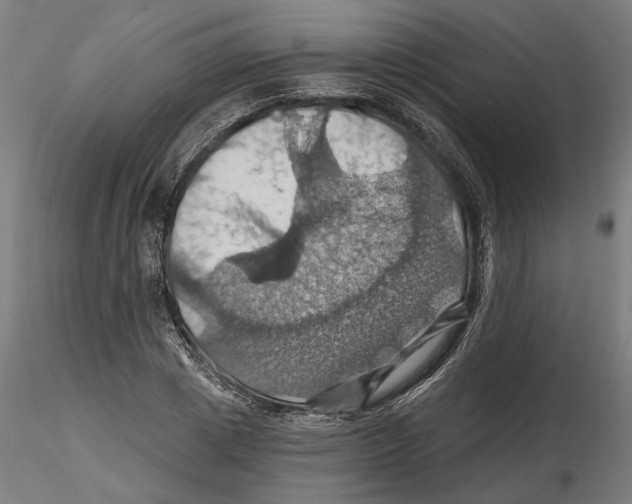 X0000116490833201001061139