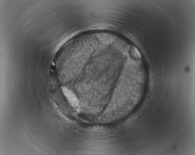 X0000116490834201001061139