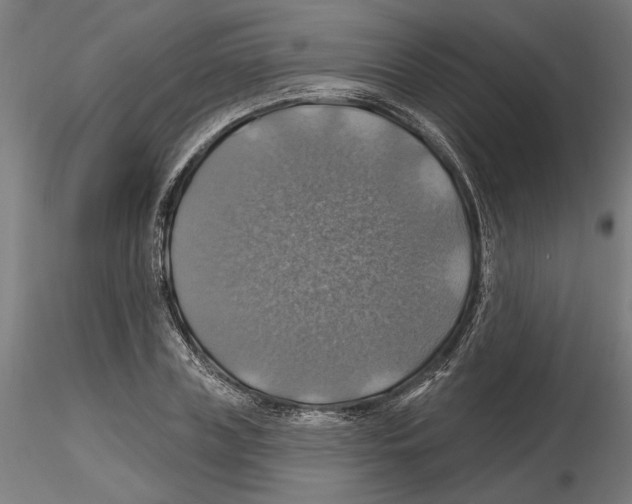 X0000116490835201001061139