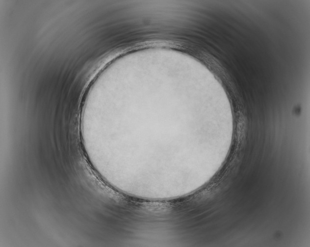 X0000116490836201001061139