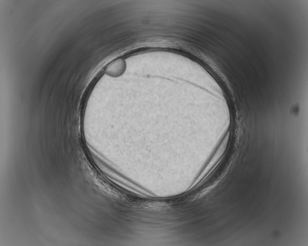 X0000116490837201001061139