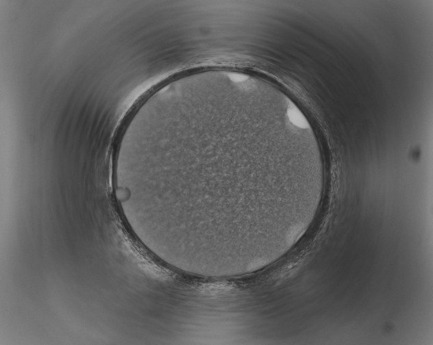 X0000116490838201001061139