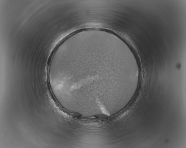 X0000116490839201001061139