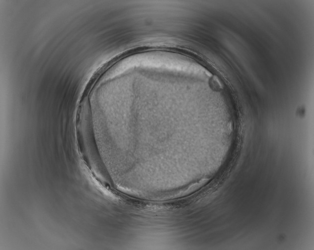 X0000116490840201001061139