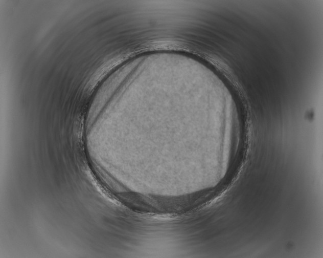 X0000116490841201001061139