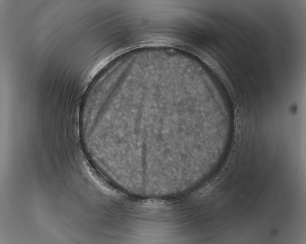 X0000116490842201001061139