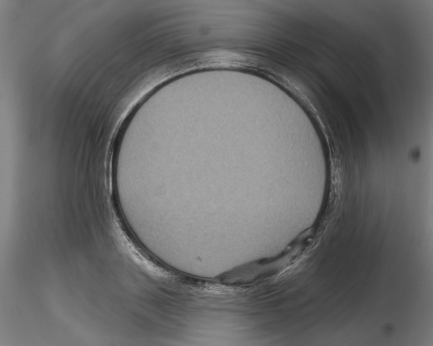 X0000116490843201001061139