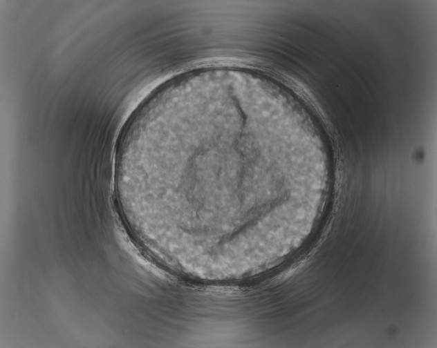 X0000116490844201001061139