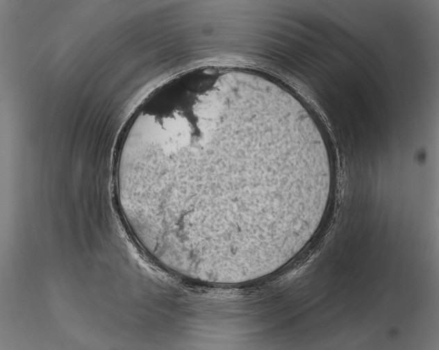 X0000116490845201001061139