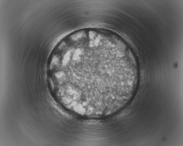 X0000116490846201001061139