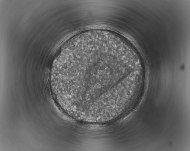 X0000116490849201001061139