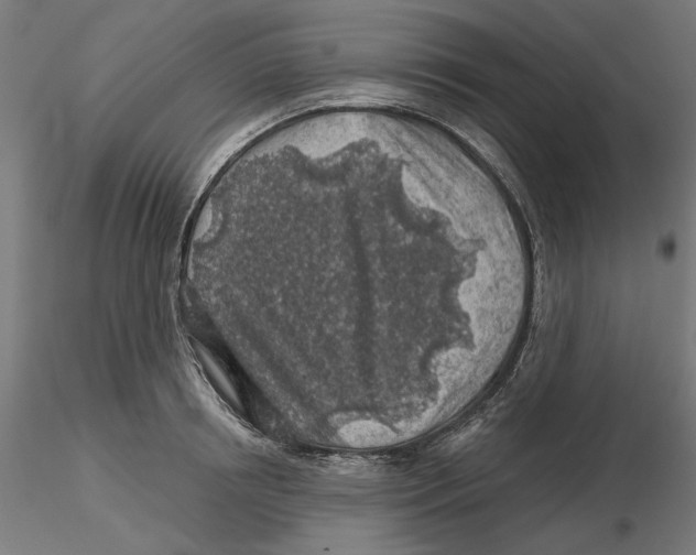 X0000116490850201001061139