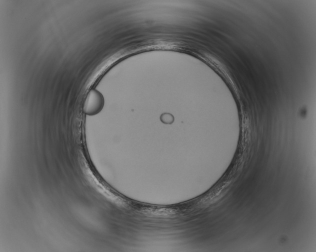 X0000116490851201001061139