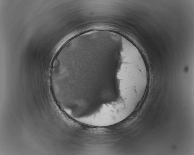 X0000116490853201001061140