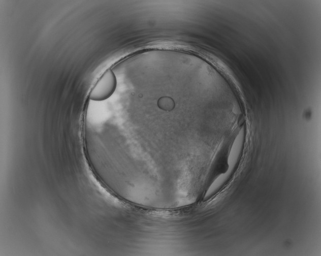 X0000116490855201001061140