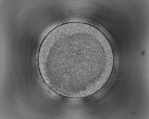 X0000116490856201001061140