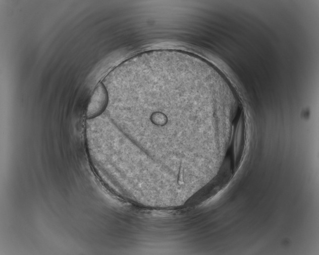 X0000116490857201001061140