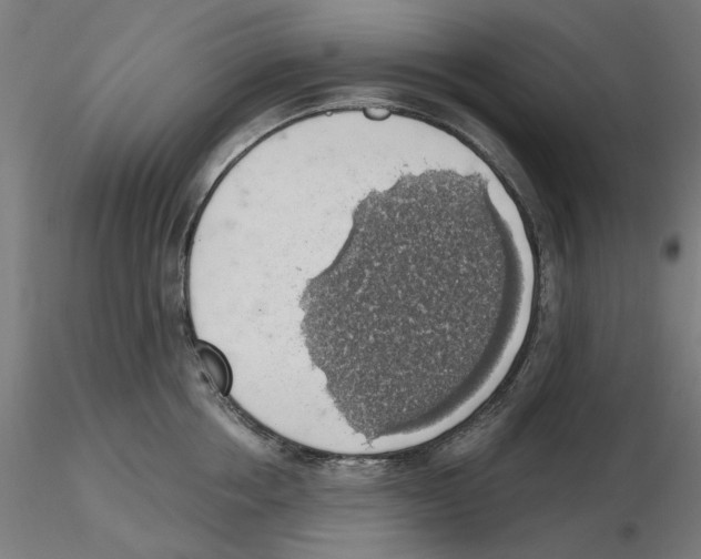 X0000116490858201001061140