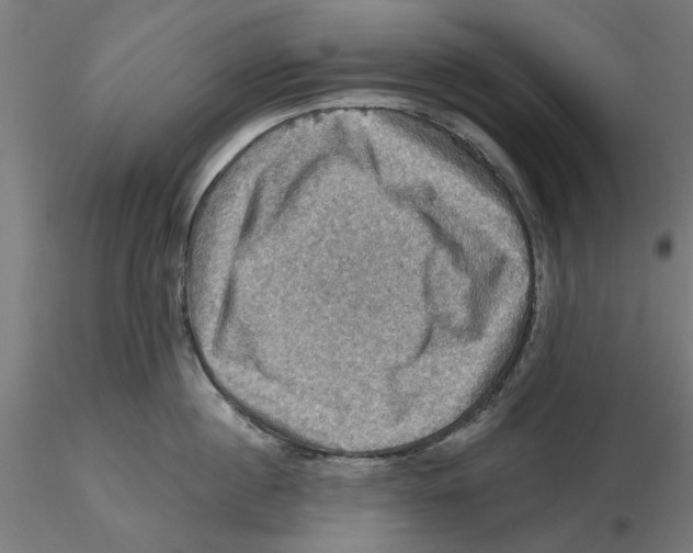 X0000116490860201001061140