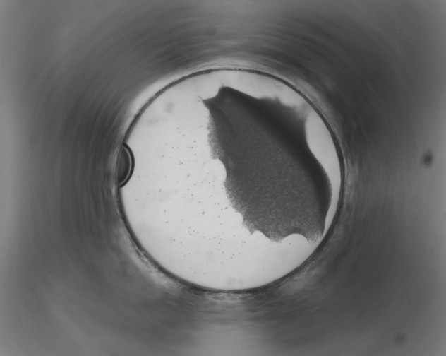 X0000116490862201001061140