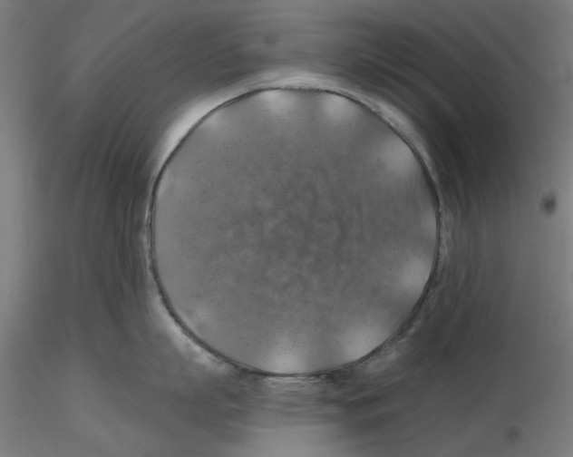 X0000116490863201001061140