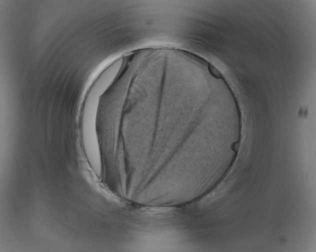 X0000116490864201001061140