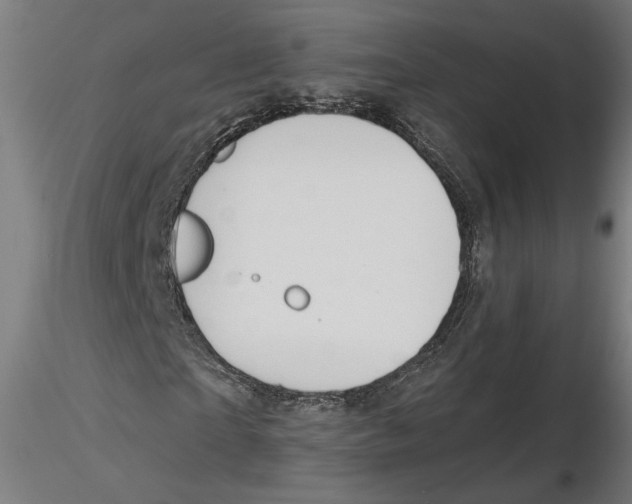 X0000116490865201001061139