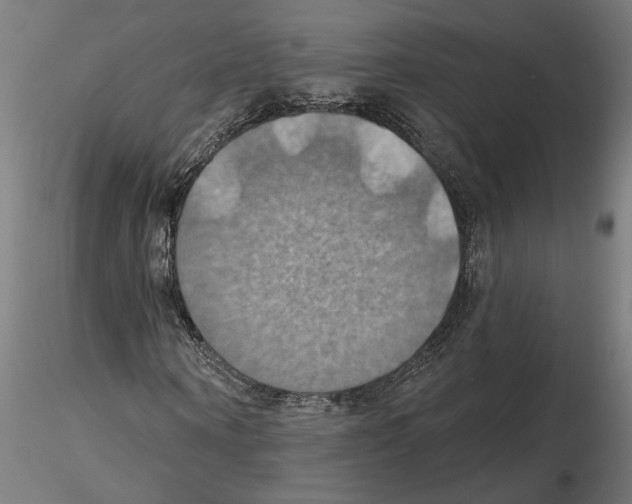 X0000116490866201001061139