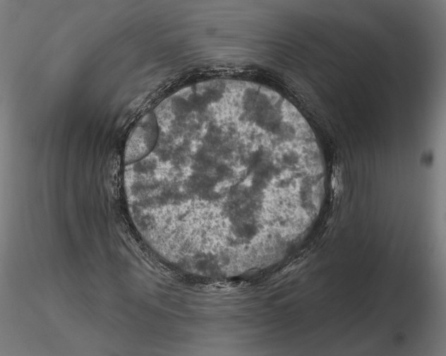 X0000116490867201001061139