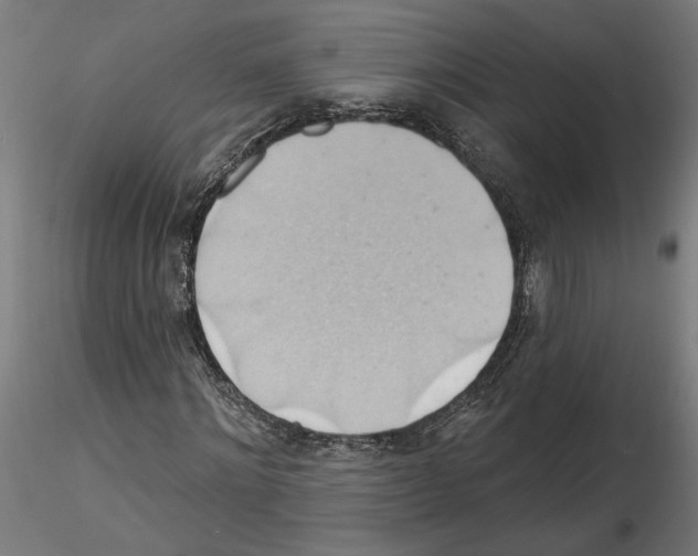 X0000116490868201001061139