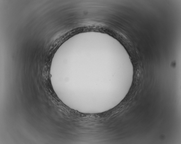 X0000116490869201001061139