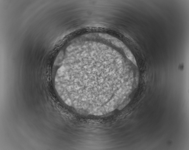 X0000116490870201001061139