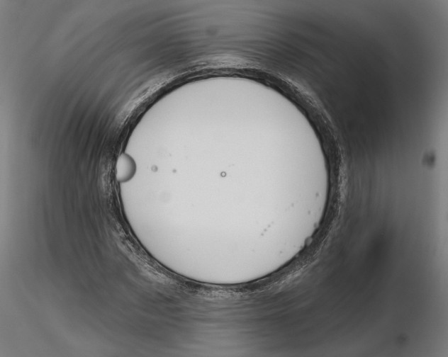 X0000116490873201001061139