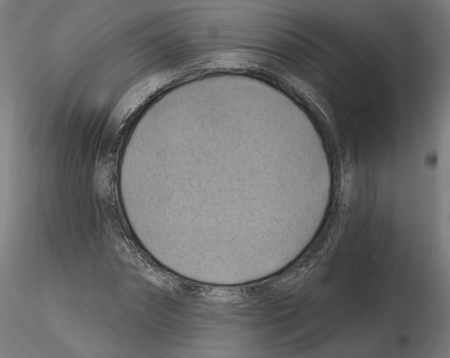 X0000116490874201001061139