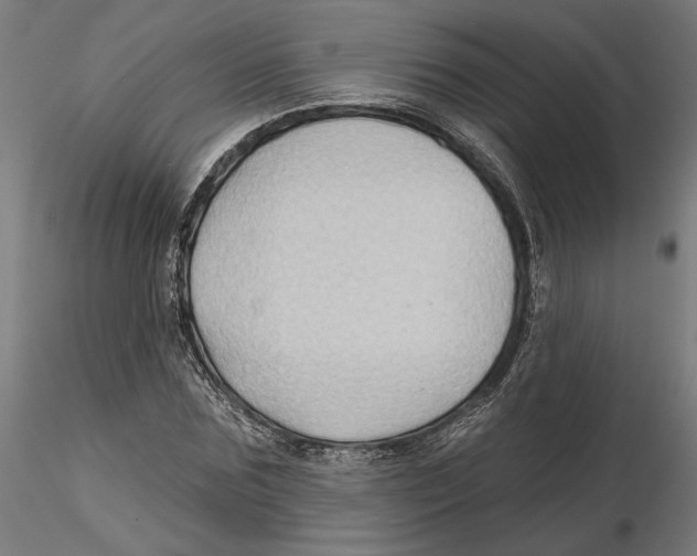 X0000116490875201001061139