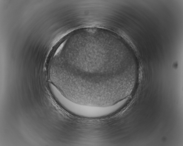 X0000116490876201001061139