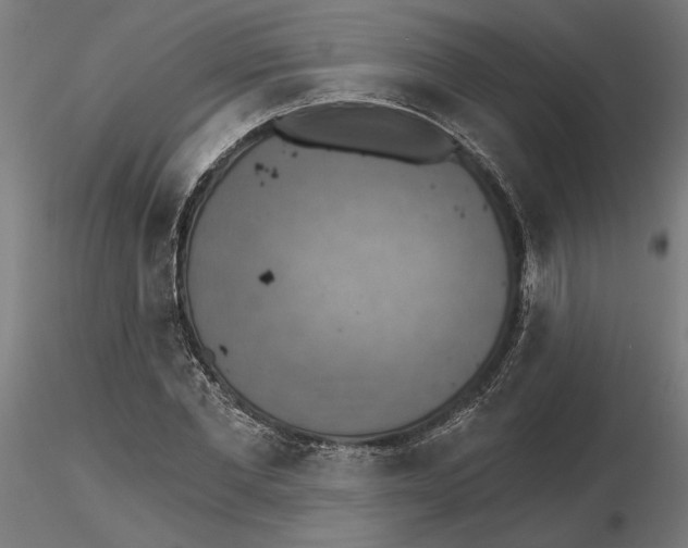 X0000116490877201001061139