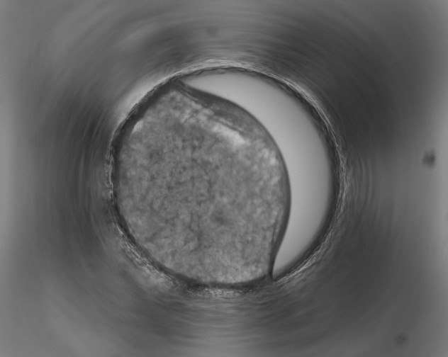 X0000116490878201001061139