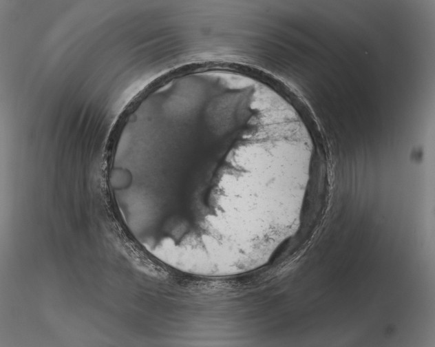 X0000116490879201001061139