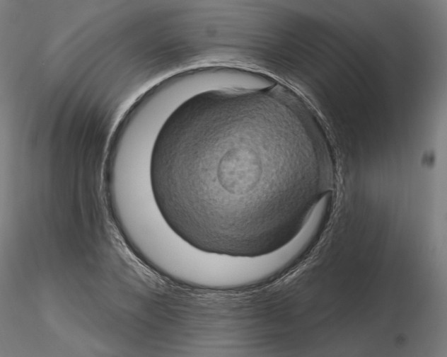 X0000116490880201001061139