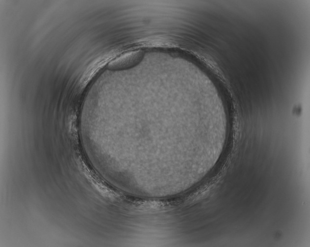 X0000116490881201001061139