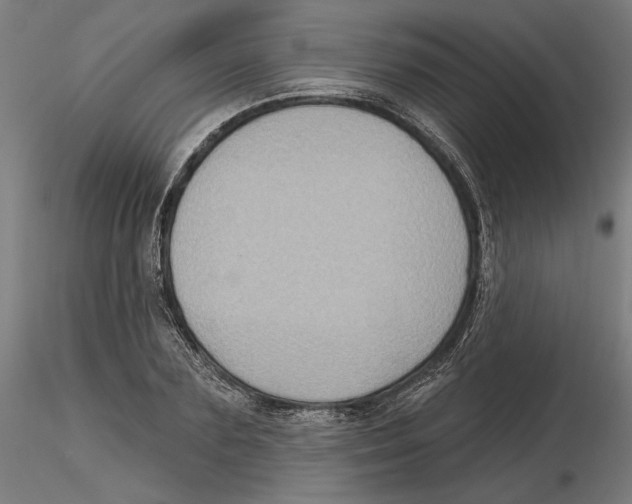 X0000116490883201001061139