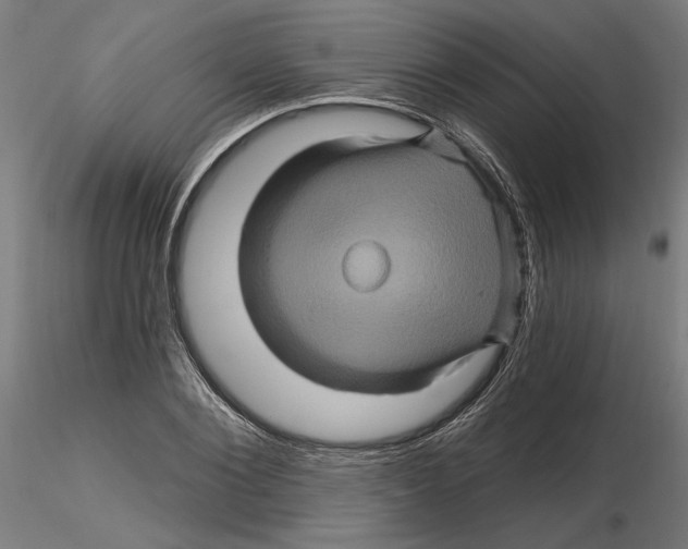 X0000116490884201001061139