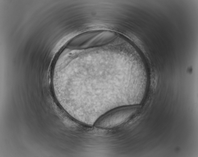 X0000116490885201001061139