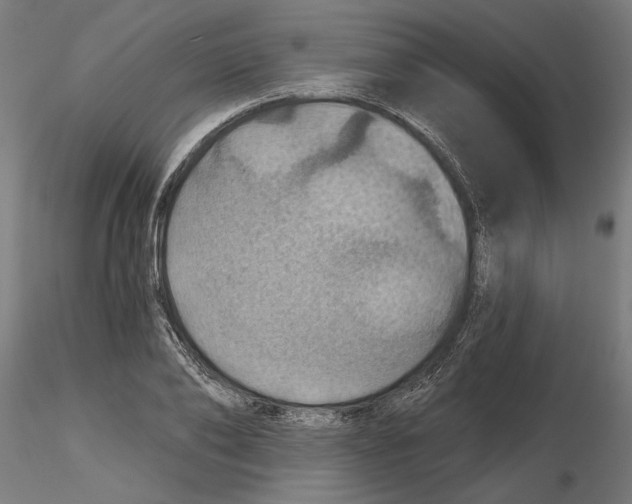 X0000116490886201001061139