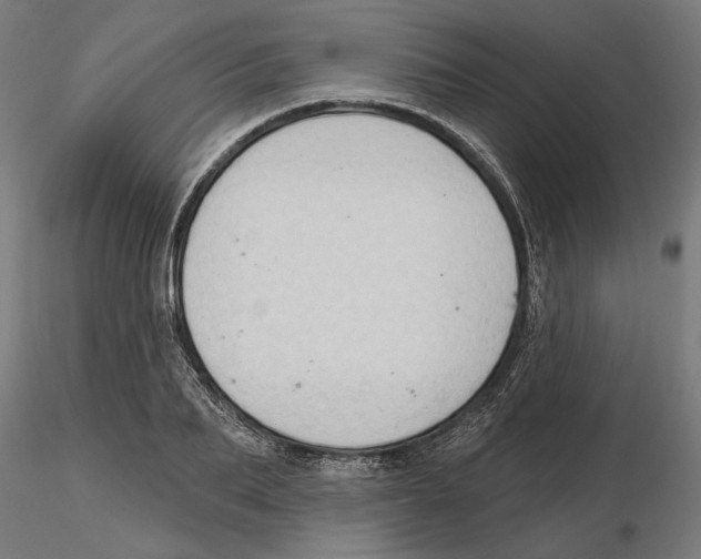 X0000116490887201001061139