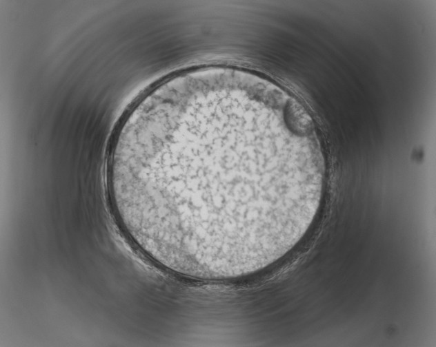 X0000116490888201001061139