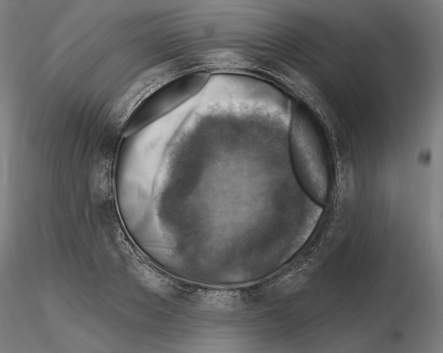 X0000116490889201001061139